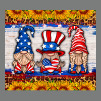 Usa Gnome Premium Hoodie | Teevron