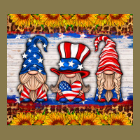 Usa Gnome Premium Hoodie | Teevron