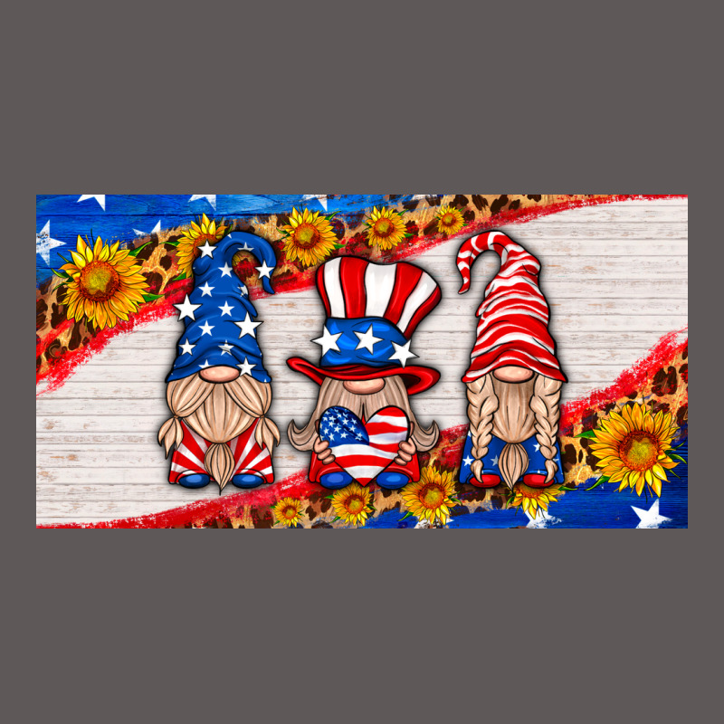 Usa Gnome License Plate Premium Hoodie by HRA Design Shop | Teevron