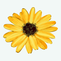 Sunflower Premium Hoodie | Teevron