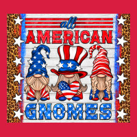 All American Gnomes Premium Hoodie | Teevron