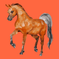 Horse Premium Hoodie | Teevron