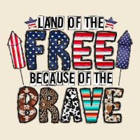 Land Of The Beacause Of The Brave Premium Hoodie | Teevron