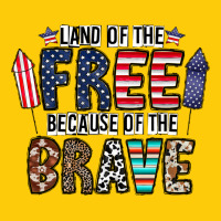 Land Of The Beacause Of The Brave Premium Hoodie | Teevron