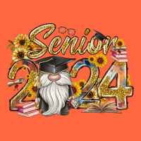 Senior 2024 Premium Hoodie | Teevron