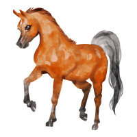 horse | Teevron