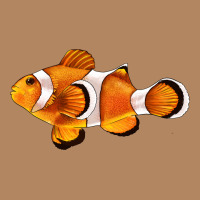 Clown Fish Side Long Sleeve Tee | Teevron