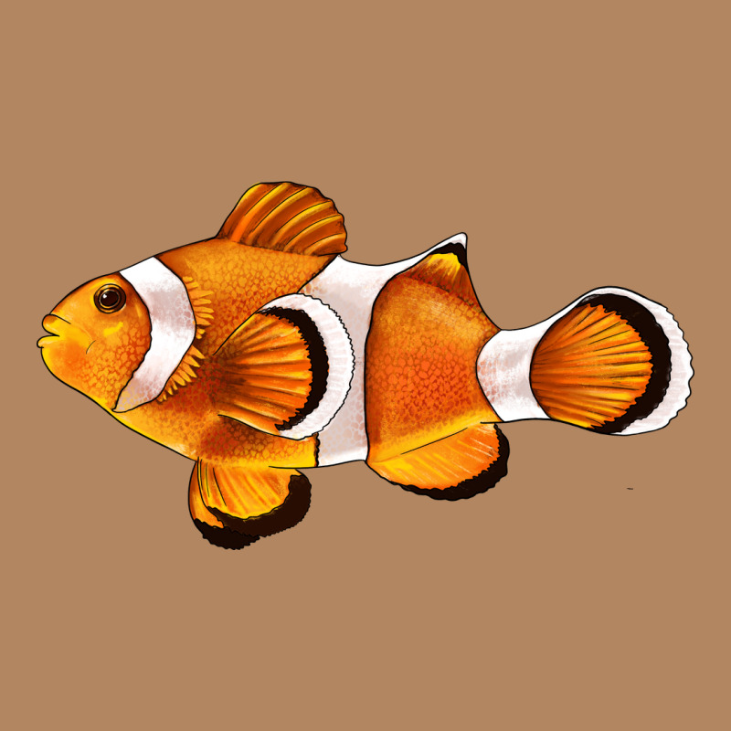 Clown Fish Side Long Sleeve Tee by BarkalooDesign | Teevron
