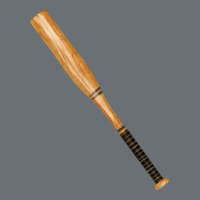 Wooden Softball Bat Premium Hoodie | Teevron