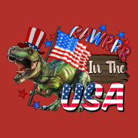 Rawrrr In The Usa 4th Of July Premium Hoodie | Teevron
