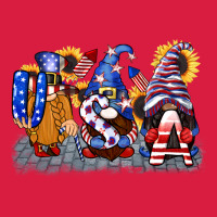 Usa 4th Of July Gnomes  4th Of July Premium Hoodie | Teevron