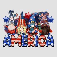 America Gnomes 4th Of July Premium Hoodie | Teevron