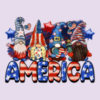 America Gnomes 4th Of July Premium Hoodie | Teevron