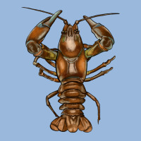 Crawfish Premium Hoodie | Teevron