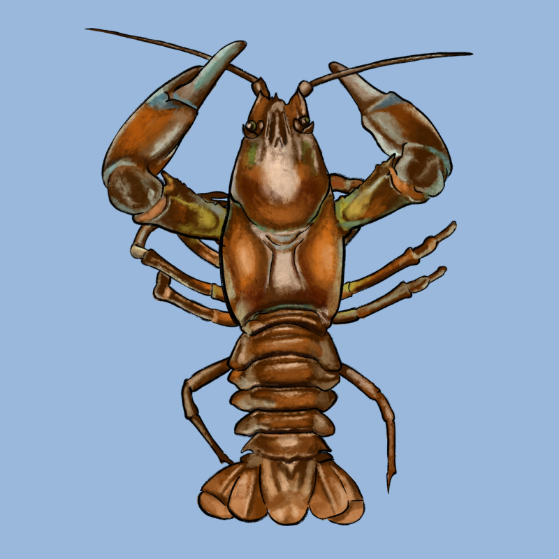 Crawfish Premium Hoodie by FaDigitalArtStudio | Teevron