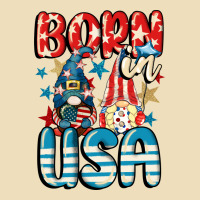 Born In Usa Gnomes 4th Of July Premium Hoodie | Teevron