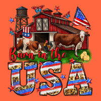 Barn In The Usa Premium Hoodie | Teevron