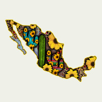 Guerrero Mexico Serape Cactus Sunflower Map Urban Heavy Tee | Teevron