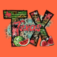 Texas Premium Hoodie | Teevron