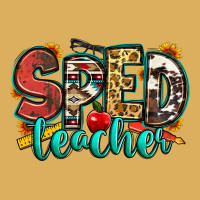 Special Education Teacher Premium Hoodie | Teevron