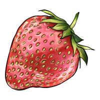 strawberry | Teevron