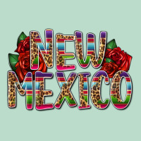New Mexico Premium Hoodie | Teevron