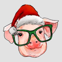 Christmas Pig With Santa Claus Hat Premium Hoodie | Teevron