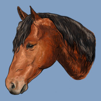 Horse Urban Hoodie | Teevron