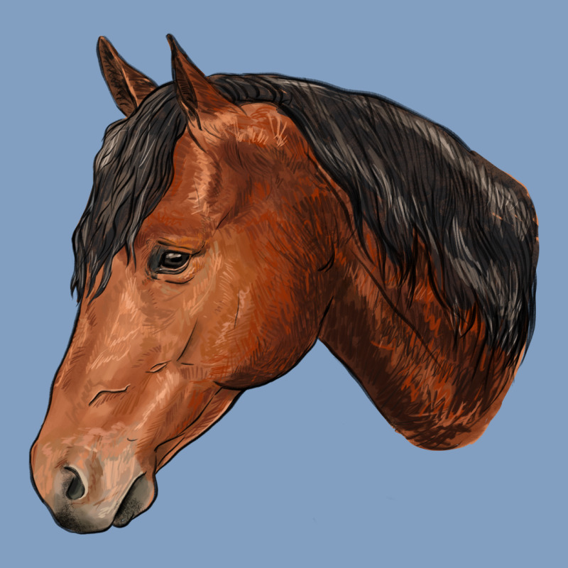 Horse Urban Hoodie by RanaPortraitStore | Teevron