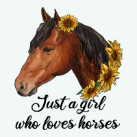 Just A Girl Who Loves Horses Premium Hoodie | Teevron