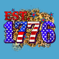 Est. 1776 4th Of July Premium Hoodie | Teevron