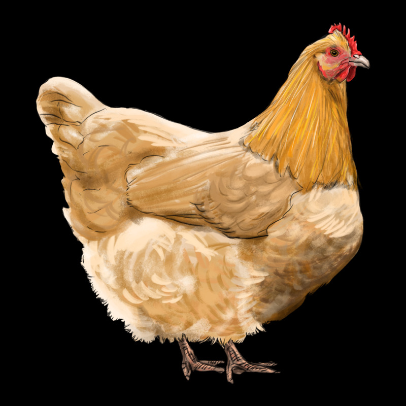 Chicken Urban Hoodie by RanaPortraitStore | Teevron