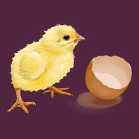 Chick With Egg Urban Hoodie | Teevron
