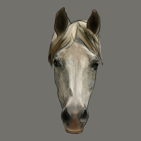 Horse Head Premium Hoodie | Teevron