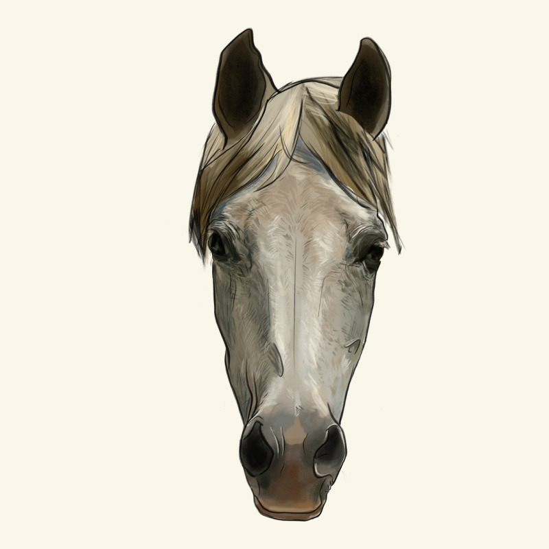 Horse Head Premium Hoodie by RanaPortraitStore | Teevron