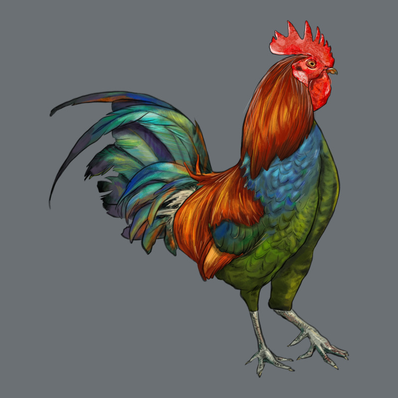 Rooster Premium Hoodie by RanaPortraitStore | Teevron