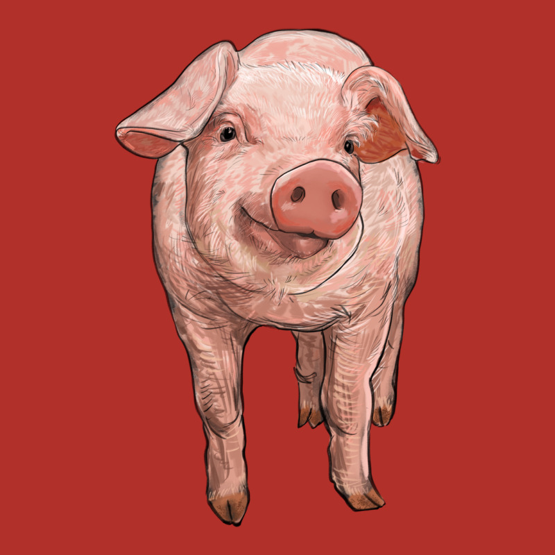 Pig Premium Hoodie by RanaPortraitStore | Teevron