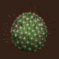 Arizona Fishhook Cactus Heavy Core Tee | Teevron