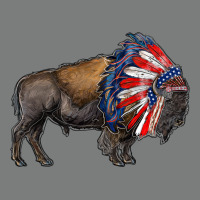 American Bison With Indian Headdress Premium Hoodie | Teevron