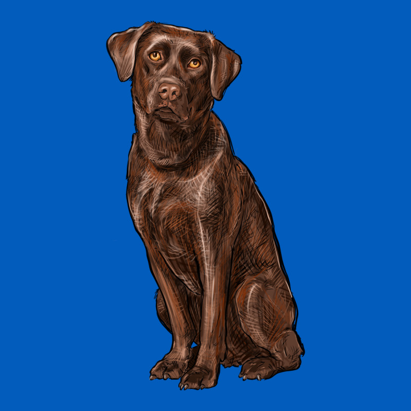 Labrador Retriever Urban Hoodie by RanaPortraitStore | Teevron