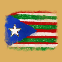 Mexico And Puerto Rico Flag Premium Hoodie | Teevron