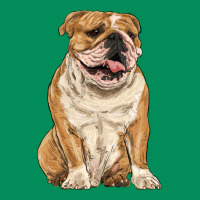 English Bulldog Urban Hoodie | Teevron
