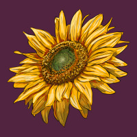 Sunflower Urban Hoodie | Teevron