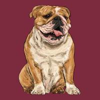 English Bulldog Premium Hoodie | Teevron