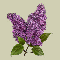 Purple Lilac Flower Heavy Core Tee | Teevron