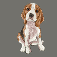 Beagle Premium Hoodie | Teevron