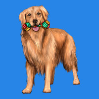 Golden Retriever With Toys Premium Hoodie | Teevron
