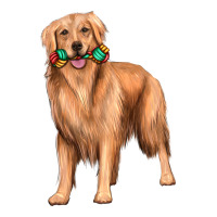 Golden Retriever With Toys Premium Hoodie | Teevron