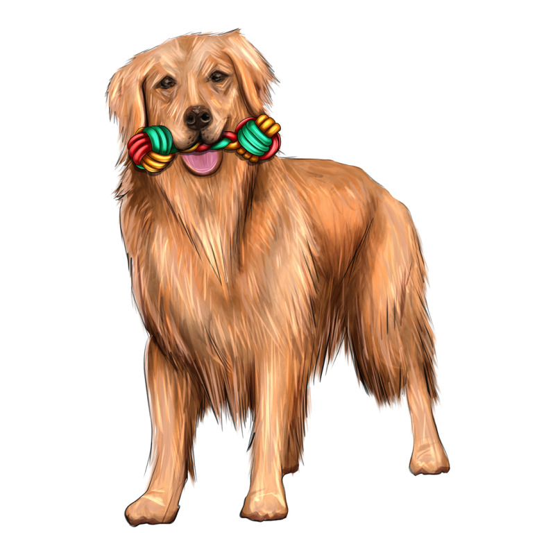 Golden Retriever With Toys Premium Hoodie by texasbilliewilder | Teevron