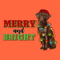 Merry And Bright Labrador Premium Hoodie | Teevron
